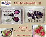 3D Jelly Cake Tools specially -Type 13 - Lotus flower - 5 pcs/set
