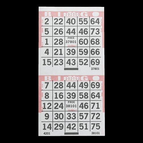 Arrow International 2 on Vertical Pink Bingo Paper Cards - 750 Sheets - 1500 Cards
