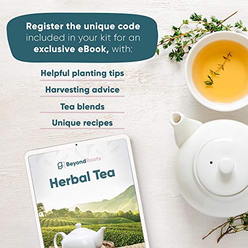 Herbal Tea Seeds Variety Pack 10 Medicinal Herbs Seed Packets