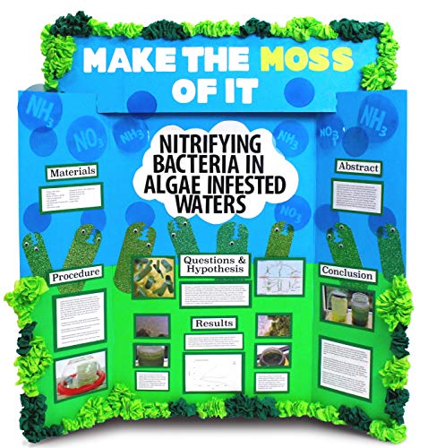 5 ArtSkills+Corrugate+Trifold+Display+Header