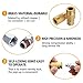 12PCS Air Fittings, Drillpro Pneumatic Quick Connect, Brass Air Coupler and Steel Plug Kit, 1/4'' NPT I/M, for Air Line, Air Compressor,Air Drill etc Pneumatic Tool Quick Connect