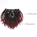 Ombre Remy Clip in Human Hair Extensions Afro Kinky Curly 4B 4C 100% Natural Black Hair Extensions 10-22 inch Two Tone T#1B/99J Burgandy Wine Red Full Head (12 inch, Ombre #1B/99J AC)