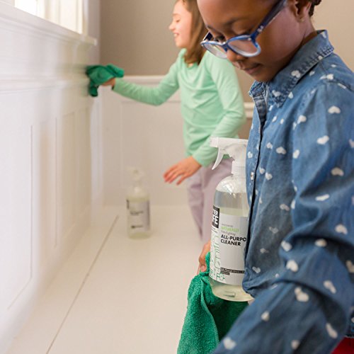 Better Life Natural AllPurpose Cleaner, Safe Around Kids & Pets