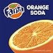 Fanta Orange Soda Fruit Flavored Soft Drink, 12 fl oz, 12 Pack