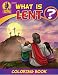 The friends of Brother Francis Coloring & Activity Book, What is Lent? Easter, Easter coloring pages, soft cover (What Is? Coloring Books)