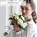 Royal Imports Pearl Bling Wrap Ribbon for Wedding Cake, Party, Holiday & Home Decoration, 10 Yards - White