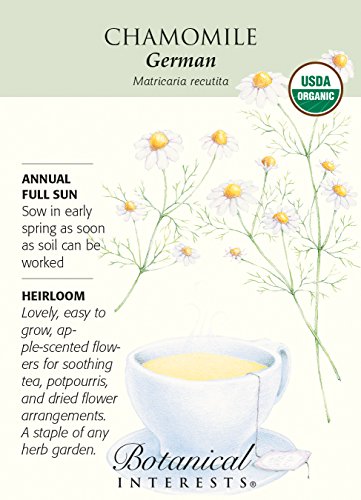 German Chamomile Seeds - 250 milligrams - Certified Organic German Chamomile Seeds - 250 milligrams - Certified Organic