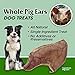 BPS GigaBite - USDA & FDA Certified Pig Ears for Dogs - All Natural Dog Treats- Dental Plaque Avoiding Dog Chews- Rich in Healthy Protein- Single Ingredient - 100% Additive-Free (Pack of 24)