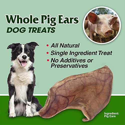 GigaBite Whole Pig Ears for Dogs (20 Pack) – USDA & FDA Certified All Natural Pork Ear Dog Treat – By Best Pet Supplies