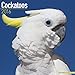 Cockatoos Calendar - Only Cockatoos Calendar - 2016 Wall calendars - Parrot Calendars - Animal Calendars - Monthly Wall Calendar by Avonside