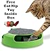 Gizmo Pet Product's Cat Mice Toy for Kittens Catch The Mouse Motion Cat Toy Sold Pet Products Most Interactive Toy for Cats Fun to Play with & Amusing to Watch Get It Now, Green, Grau (2.7244E+12)