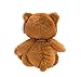 WILDREAM Plush Teddy Bear Stuffed Animals with Ribbon Bow, Shaggy Stuffed First Teddy Bear Plush for Boys/Girls/Boyfriends/Girlfriends, Soft Gifts for Birthday, 8 Inches (Brown)
