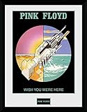 Amazon.com: (24x36) Pink Floyd (Wish You Were Here, Man on ...