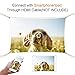 ASHATA Video Mini HD Projector, LED Home Theater 4K TV Movie Projector Support Laptop Phone 1080P/HDMI/VGA/USB/TV Box/Laptop/DVD for Indoor Outdoor Entertainment(US Plug)thumb 3