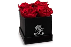 Soho Floral Arts | Roses In A Box | Genuine Roses that Last for Years (Black Square 4ct, Red) | Mothers Day Gifts