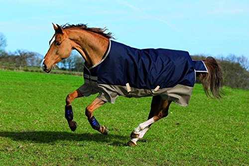 Horseware Mio Medium Turnout Blanket 81 Navy/Tan