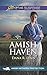 Amish Haven (Amish Witness Protection) by Dana R. Lynn