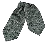 ERA1B04-06 Paisley Cravat Woven Microfiber Mens Ascot Perfect Design By Epoint