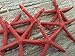 Starfish Christmas Tree Ornaments (Coral)