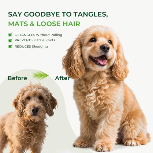 Pecute Slicker Brush for Dogs, Smoothing Brush for Dogs, Doodle Brush Professional Grooming Volumizes Detangler, Knots Detangler for Goldendoodle, Poodle (25mm, L)