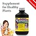 Superthrive Plant Vitamin and Hormone | for Root Stimulation | Fastest Compound for Growth | Strong & Healthy Plants: Trees, Rose, Bonsai