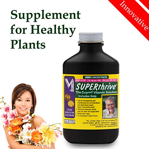 Superthrive Plant Vitamin and Hormone | for Root Stimulation | Fastest Compound for Growth | Strong & Healthy Plants: Trees, Rose, Bonsai Superthrive Plant Vitamin and Hormone | for Root Stimulation | Fastest Compound for Growth | Strong & Healthy Plants: Trees, Rose, Bonsai