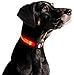 ILLUMISEEN LED Dog Collar USB Rechargeable - Bright & High Visibility Lighted Glow Collar for Pet Night Walking - Weatherproof, in 6 Colors & 6 Sizes (Pink X-Small)
