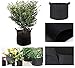 Obecome 3pc Non-woven Fabric Garden Planting Grow Bags with Handles（ Black） (Non-woven, 10Gallons)