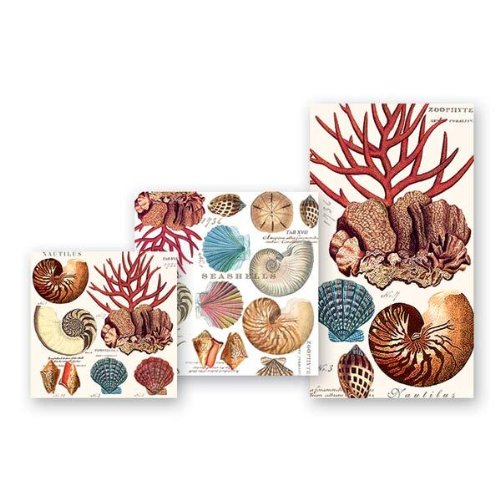 Michel Design Works Shells Cocktail Napkins, Package of 20, 3-Ply