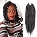Una 12 Inch Senegalese Twist Crochet Braids(22Strand/Piece) Freetress Havana Mambo Twist Braiding Hair Extensions (3-piece, 1B)