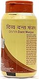 Patanjali Divya Dant Manjan For Gum 100 Gram