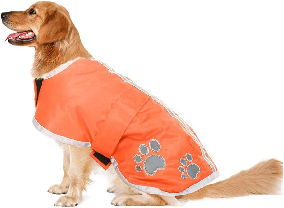 Orange dog blanket Clearance