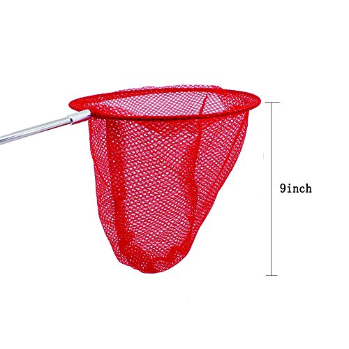 3 Bestie+Gear+Telescopic+Butterfly+Catching+Extendable