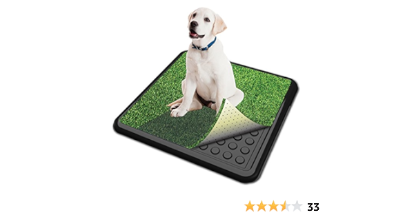 pooch pads amazon