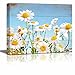 wall26 Canvas Print Wall Art White Daisy Field on Retro Wood Panels Nature Floral Illustrations Modern Art Rustic Scenic Relax/Calm Multicolor for Living Room, Bedroom, Office - 12