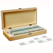 AmScope PS50 Prepared Microscope Slide Set for Basic Biological Science Education, 50 Slides, Includes Fitted Wooden Case