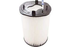 Pentair 27002-0030S Filter Module Replacement Sta-Rite Pool and Spa D.E. Filter