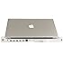 LandingZone DOCK 15" Secure Docking Station for MacBook Pro with Retina Display Model A1398