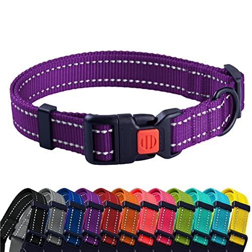 CollarDirect Reflective Dog Collar for a Small, Medium, Large Dog or Puppy with a Quick Release Buckle and Padding - Boy and Girl (Purple, 7''-11'')