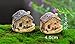 SUN-E 8pcs(Random Color) in Set Moss Fairy Miniature Fairy Garden Stone House Statue Home Decoration Outdoor Decor