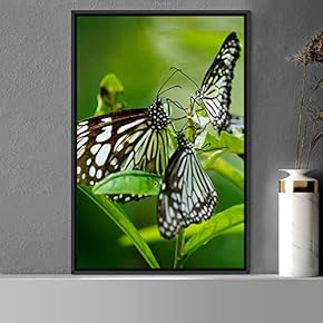 signwin Framed Canvas Wall Art Butterflies Butterfly Colorful...