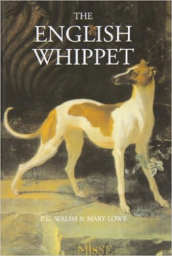 The English Whippet �n�[�h�J�o�[  - �t�@�N�V�~��, 2004/12/1