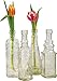 Luna Bazaar Small Vintage Glass Bottle Set (7-Inch, Dakota Design, Clear, Set of 4) - Flower Bud Vase Set - for Home Decor, Party Decorations, and Wedding Centerpieces