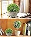 Leyaron Mini Plastic Fake Green Grass Small Artificial Potted Plants for Home Decor and Office