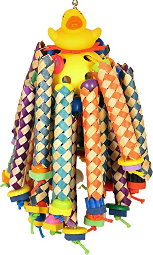 A&E CAGE COMPANY HB875 Happy Beaks Ducky Long Legs, Multicolor