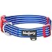 Blueberry Pet Essentials 5 Patterns Royal Bon Voyage Nautical Sleek Wisdom Stripes Adjustable Dog Collar, Large, Neck 18