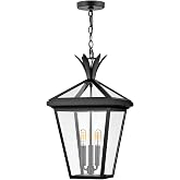 Hinkley Palma Large Hanging Lantern, Black