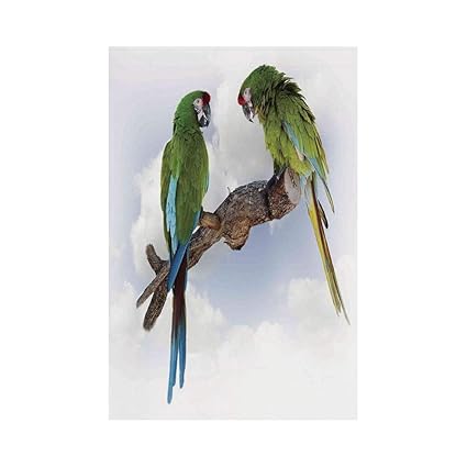 Amazon Com Polyester Garden Flag Outdoor Flag House Flag Banner