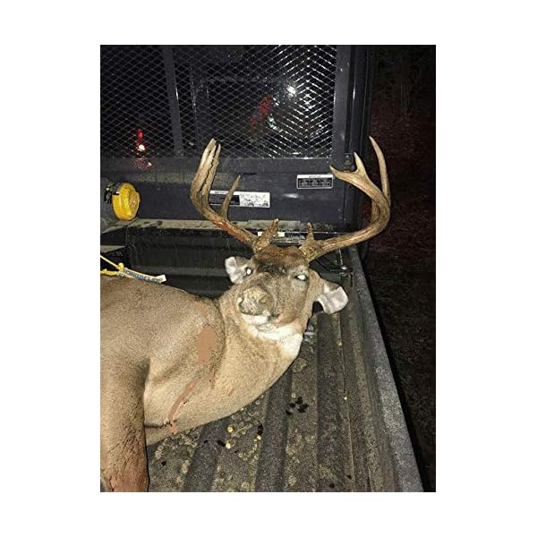 Toy Loader Universal Loading System w/2000 DC Utility Winch The Best Winch