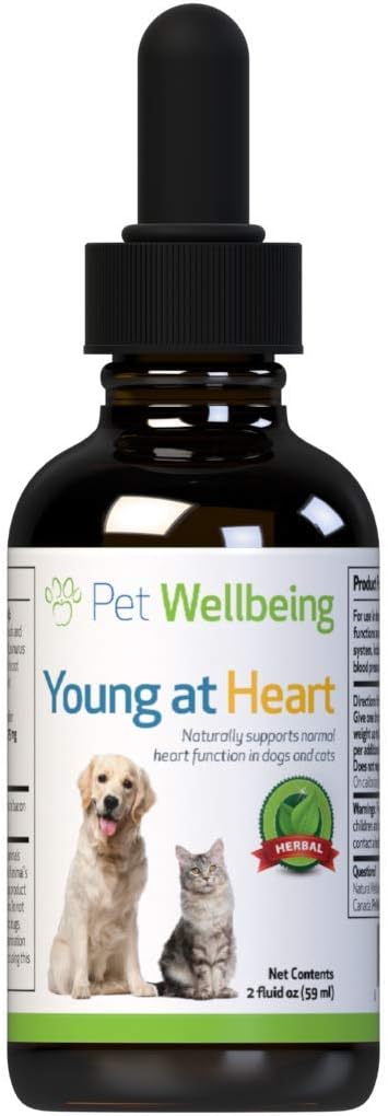 heart meds for dogs